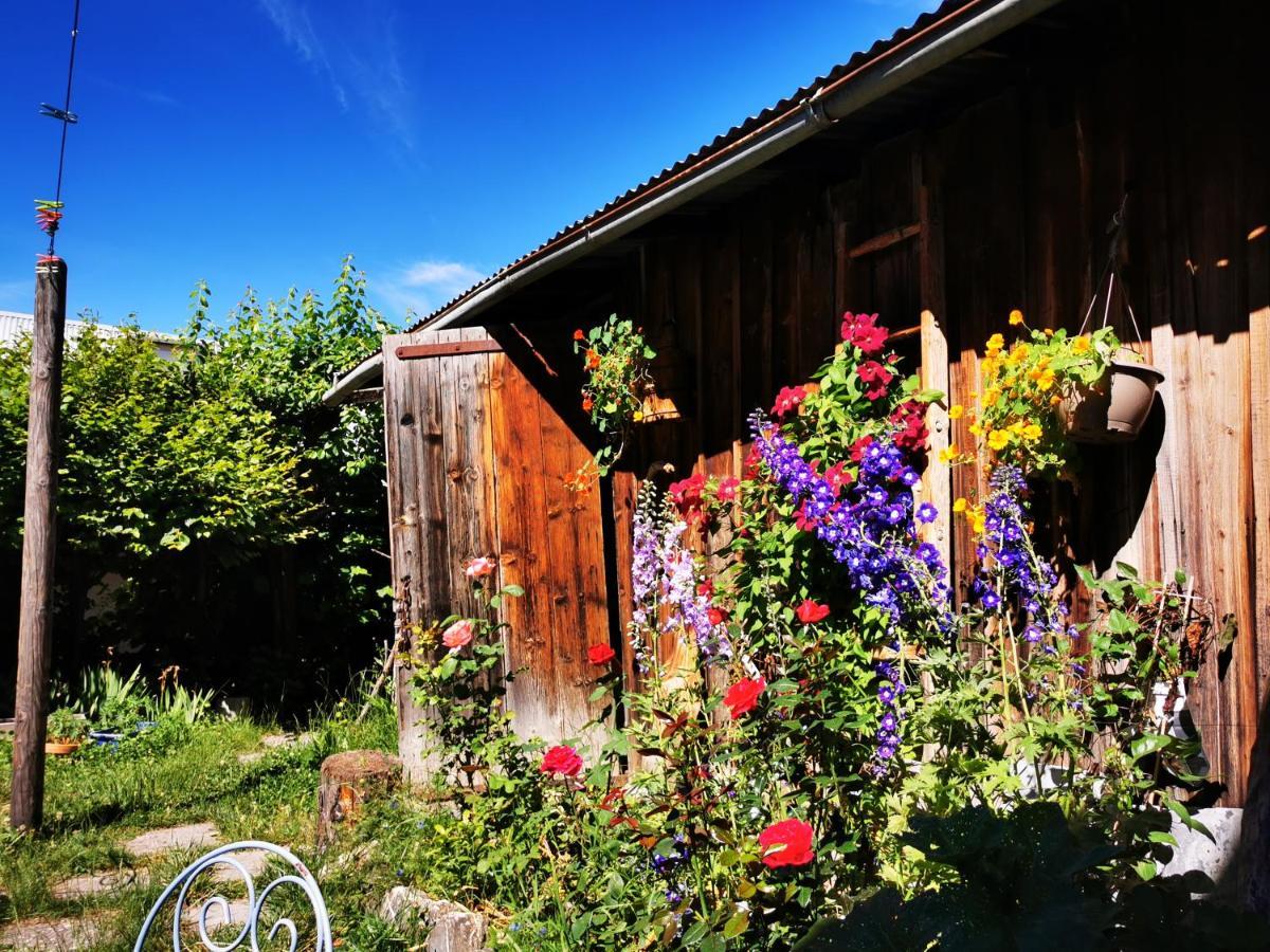 Gite D'Etape Auberge De L'Ardoisiere Жозье Экстерьер фото